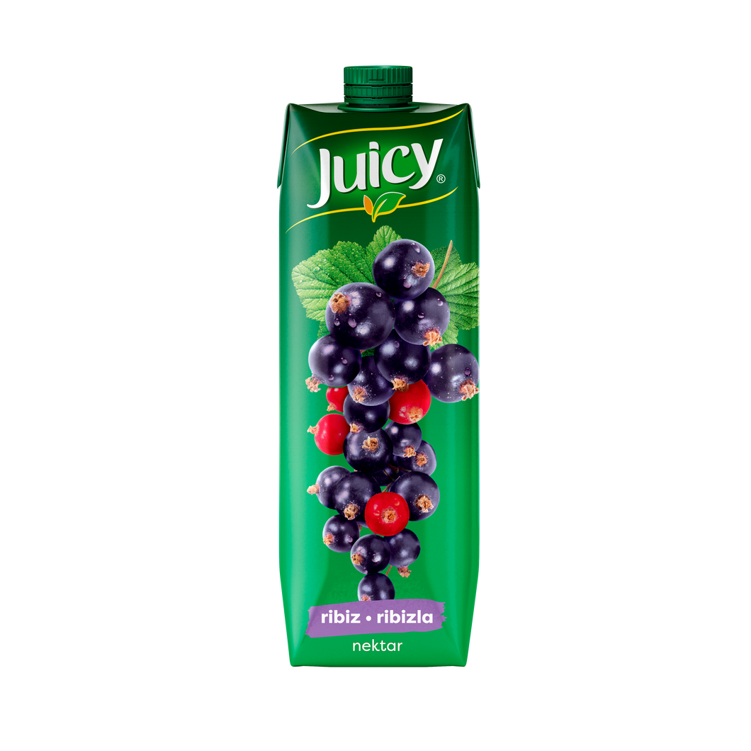 JUICY Crni ribiz nektar 1l 1/6